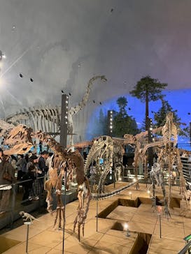 福井県立恐竜博物館に投稿された画像（2025/5/6）