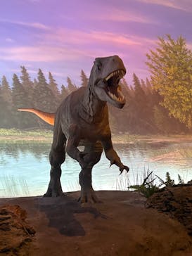 福井県立恐竜博物館に投稿された画像（2025/5/6）