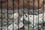 東武動物公園に投稿された画像（2025/5/6）