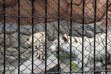 東武動物公園に投稿された画像（2025/5/6）