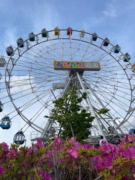 あらかわ遊園に投稿された画像（2025/5/6）