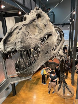 福井県立恐竜博物館に投稿された画像（2025/5/6）