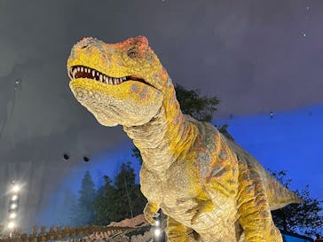 福井県立恐竜博物館に投稿された画像（2025/5/6）