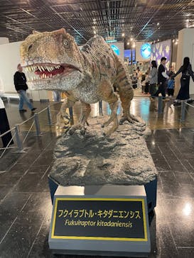福井県立恐竜博物館に投稿された画像（2025/5/6）
