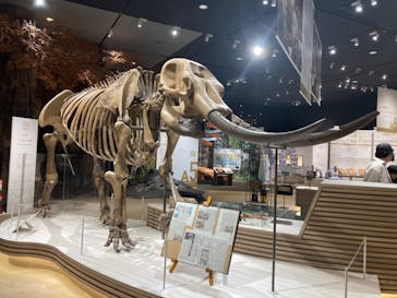 滋賀県立琵琶湖博物館に投稿された画像（2025/5/6）