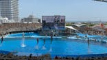 名古屋港水族館に投稿された画像（2025/5/6）