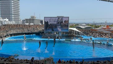 名古屋港水族館に投稿された画像（2025/5/6）