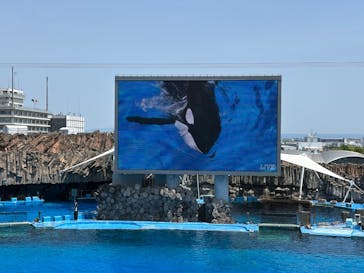 名古屋港水族館に投稿された画像（2025/5/6）