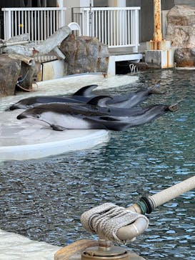 城崎マリンワールドに投稿された画像（2025/5/6）