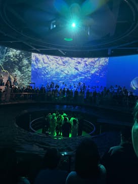 城崎マリンワールドに投稿された画像（2025/5/6）