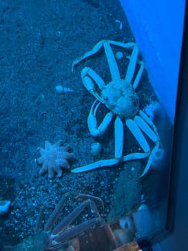 城崎マリンワールドに投稿された画像（2025/5/6）