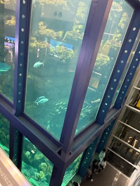 城崎マリンワールドに投稿された画像（2025/5/6）