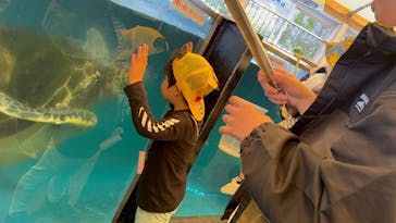 越前松島水族館に投稿された画像（2025/5/6）