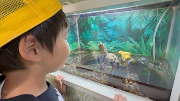越前松島水族館に投稿された画像（2025/5/6）