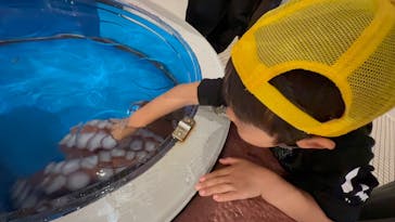 越前松島水族館に投稿された画像（2025/5/6）