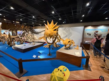 福井県立恐竜博物館に投稿された画像（2025/5/6）