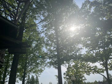 滋賀農業公園ブルーメの丘に投稿された画像（2025/5/6）