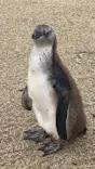 仙台うみの杜水族館に投稿された画像（2025/5/7）