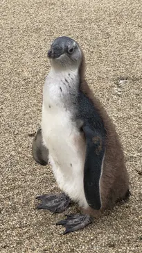 仙台うみの杜水族館に投稿された画像（2025/5/6）