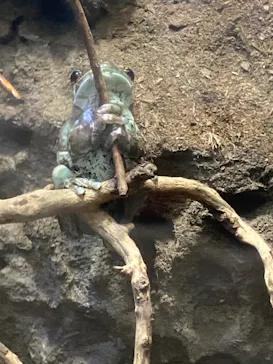 仙台うみの杜水族館に投稿された画像（2025/5/6）