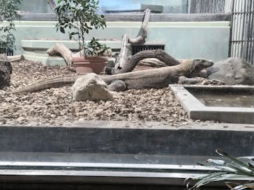 名古屋市東山動植物園に投稿された画像（2025/5/6）