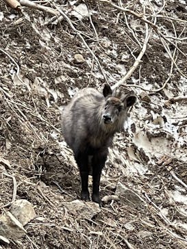 清津峡渓谷トンネルに投稿された画像（2025/5/6）