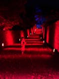 体験王国 むら咲むらに投稿された画像（2025/5/7）