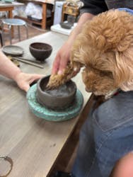 ギャラリー若宮に投稿された画像（2025/5/6）