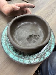 ギャラリー若宮に投稿された画像（2025/5/6）