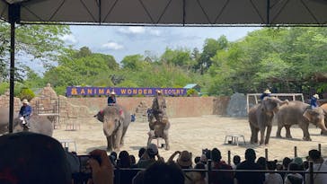 ANIMAL WONDER REZOURT 市原ぞうの国・サユリワールドに投稿された画像（2025/5/6）