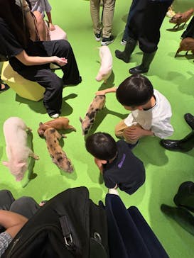 DMMかりゆし水族館に投稿された画像（2025/5/6）