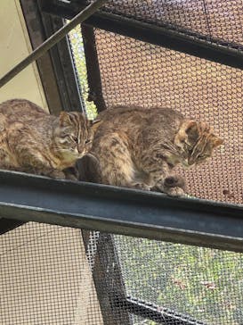 井の頭自然文化園に投稿された画像（2025/5/7）