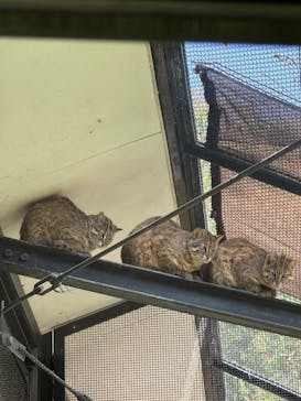 井の頭自然文化園に投稿された画像（2025/5/7）