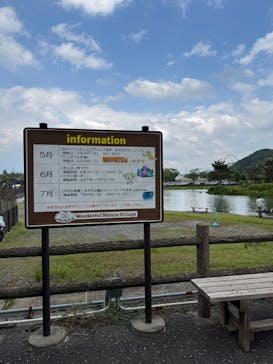 わんダフルネイチャーヴィレッジに投稿された画像（2025/5/7）