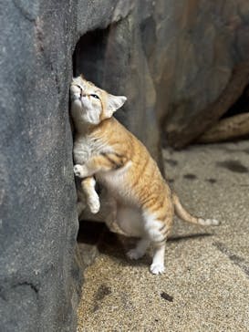 那須どうぶつ王国に投稿された画像（2025/5/7）