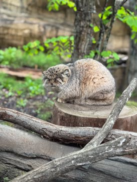 那須どうぶつ王国に投稿された画像（2025/5/7）