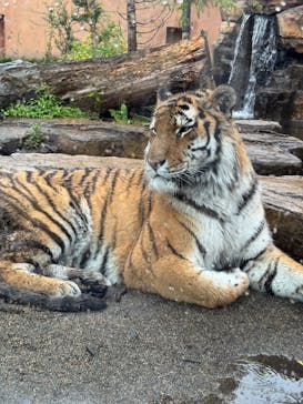 那須どうぶつ王国に投稿された画像（2025/5/7）