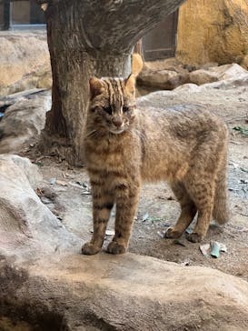 那須どうぶつ王国に投稿された画像（2025/5/7）