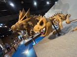 福井県立恐竜博物館に投稿された画像（2025/5/7）