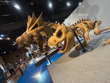 福井県立恐竜博物館に投稿された画像（2025/5/7）