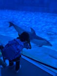 名古屋港水族館に投稿された画像（2025/5/7）