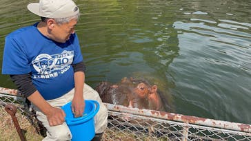 名古屋市東山動植物園に投稿された画像（2025/5/7）
