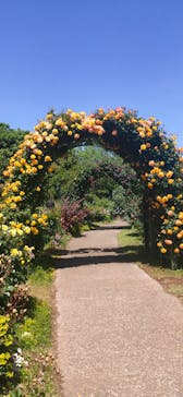 京成バラ園に投稿された画像（2025/5/7）