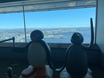 横浜ランドマークタワー 69階展望フロア スカイガーデンに投稿された画像（2025/5/7）