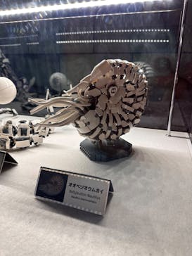 レゴランドⓇ・ジャパン・リゾートに投稿された画像（2025/5/7）