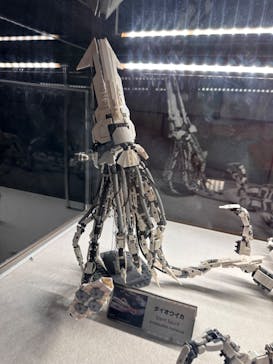 レゴランドⓇ・ジャパン・リゾートに投稿された画像（2025/5/7）