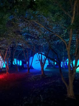 チームラボ ボタニカルガーデン 大阪に投稿された画像（2025/5/7）