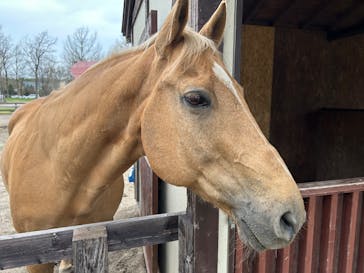 ノーザンホースパークに投稿された画像（2025/5/7）