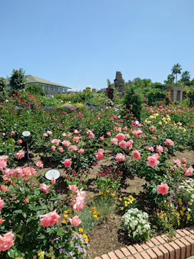 ひらかたパークに投稿された画像（2025/5/7）