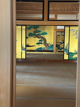 名古屋城に投稿された画像（2025/5/7）